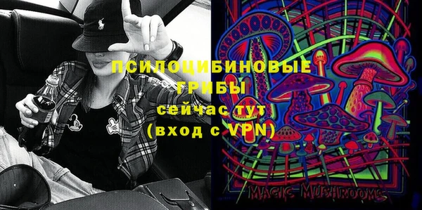 крисы Алексеевка