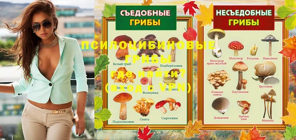 крисы Алексеевка