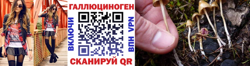 Псилоцибиновые грибы мицелий  МЕГА зеркало  Томск 